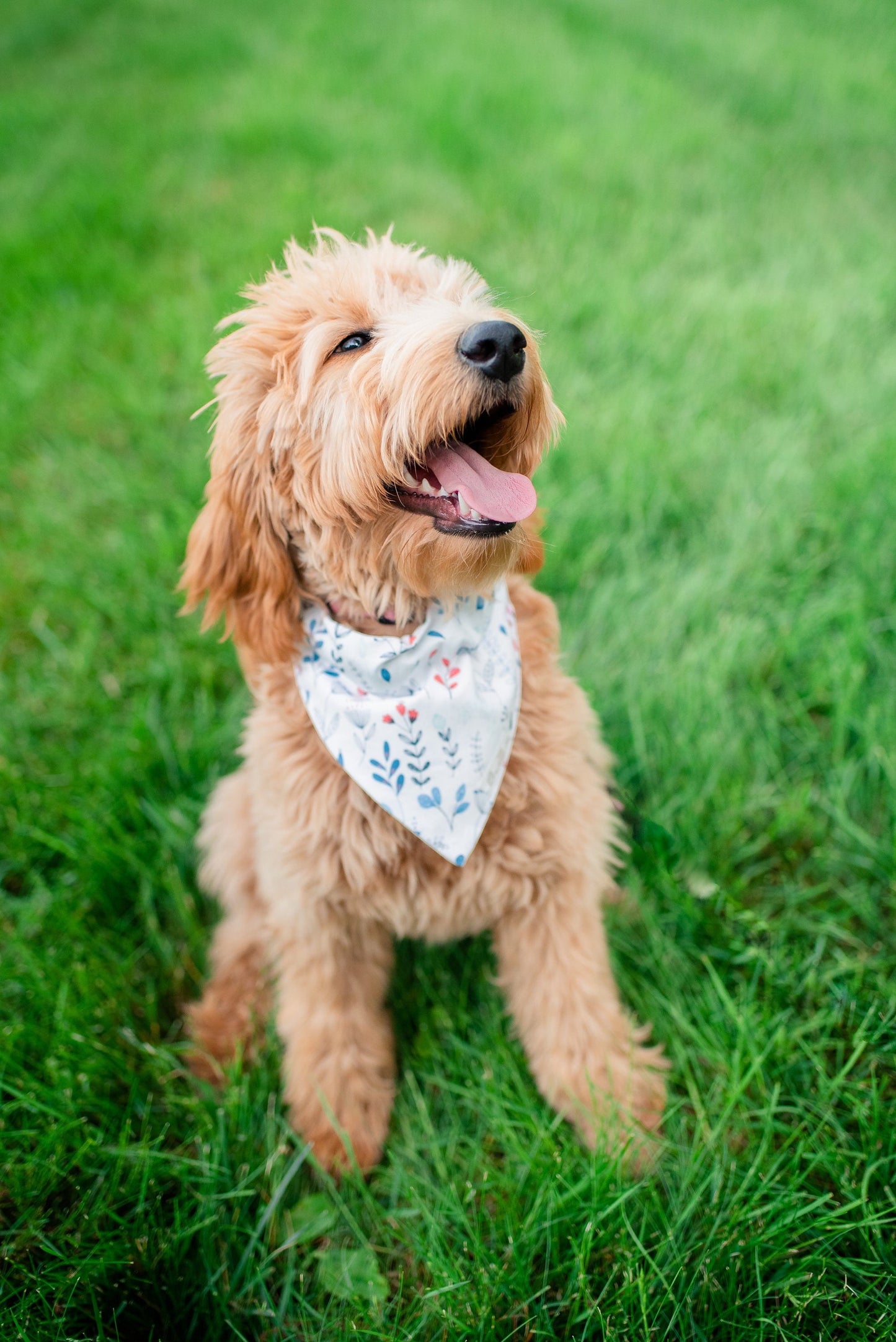 Bees & Flowers Dog Bandana