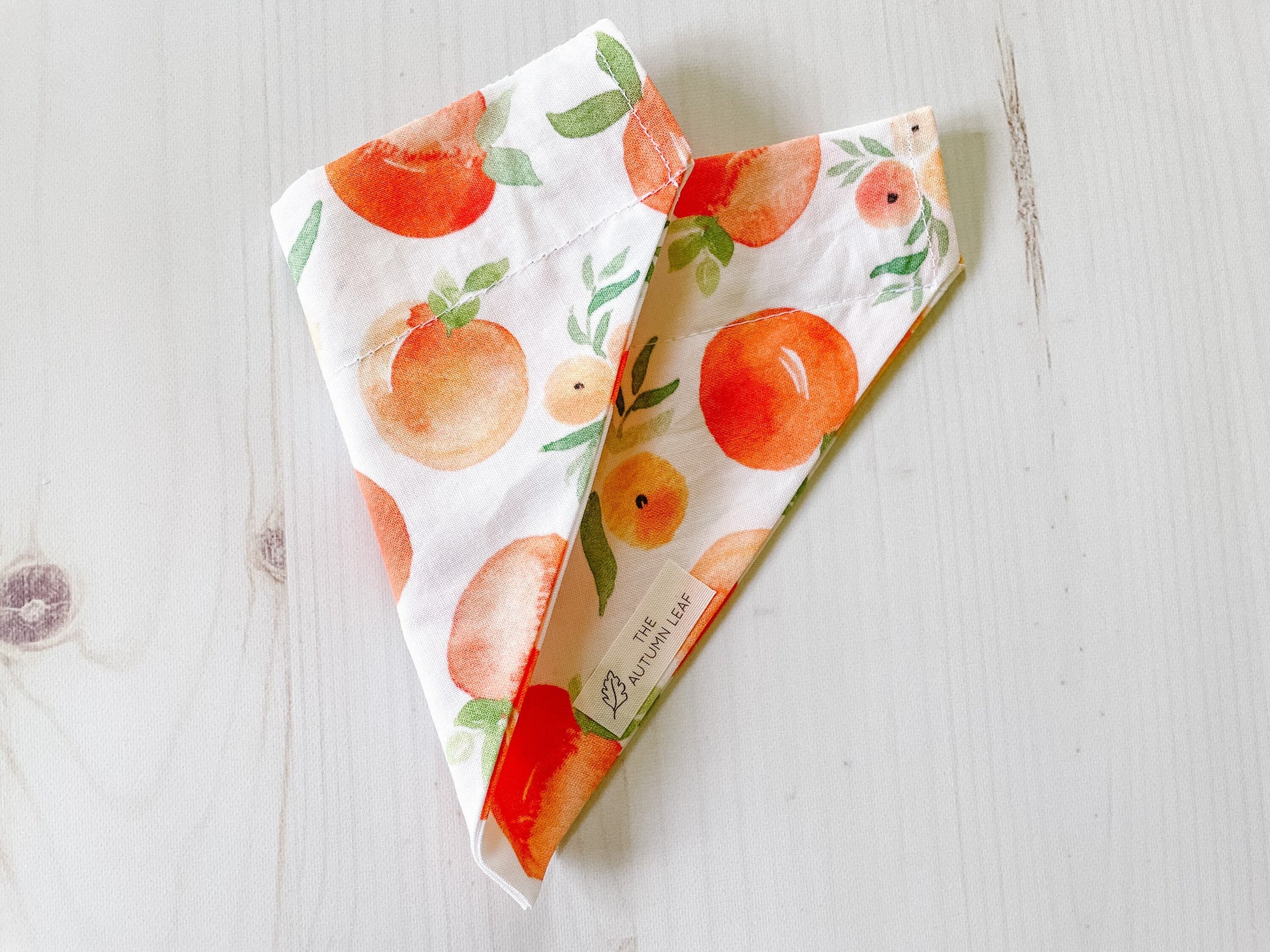 Peaches Dog Bandana