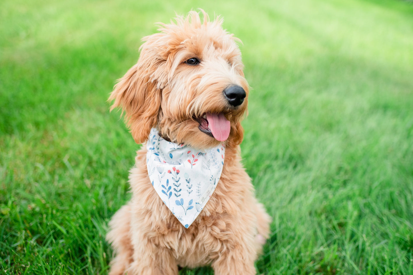 Bees & Flowers Dog Bandana