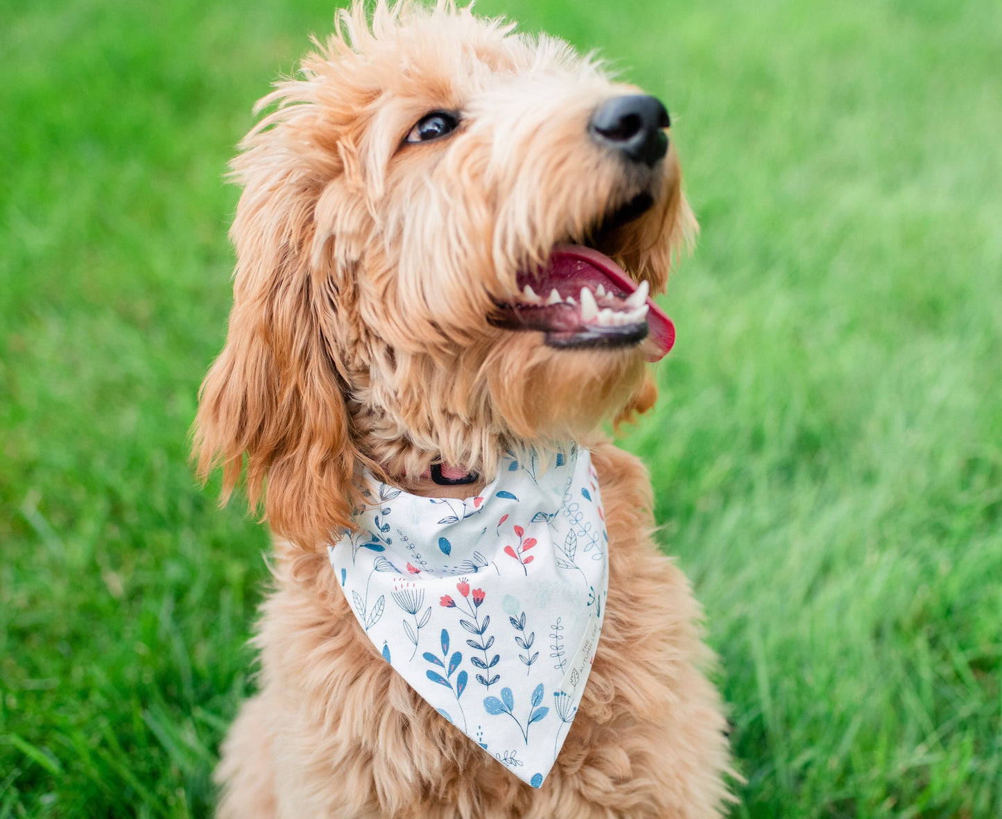 Bees & Flowers Dog Bandana