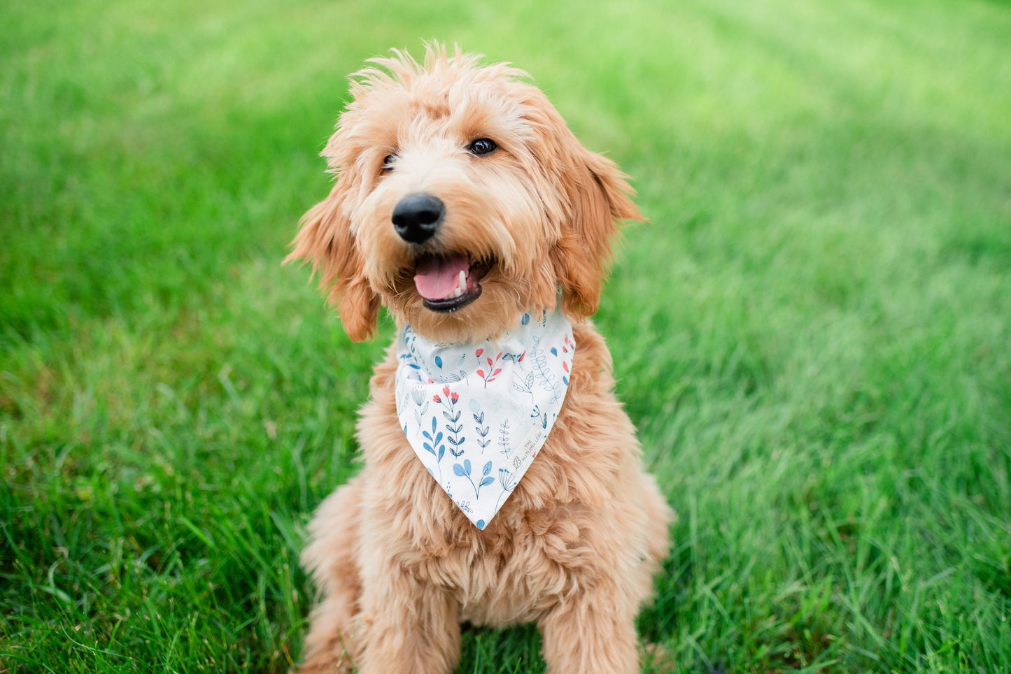 Bees & Flowers Dog Bandana