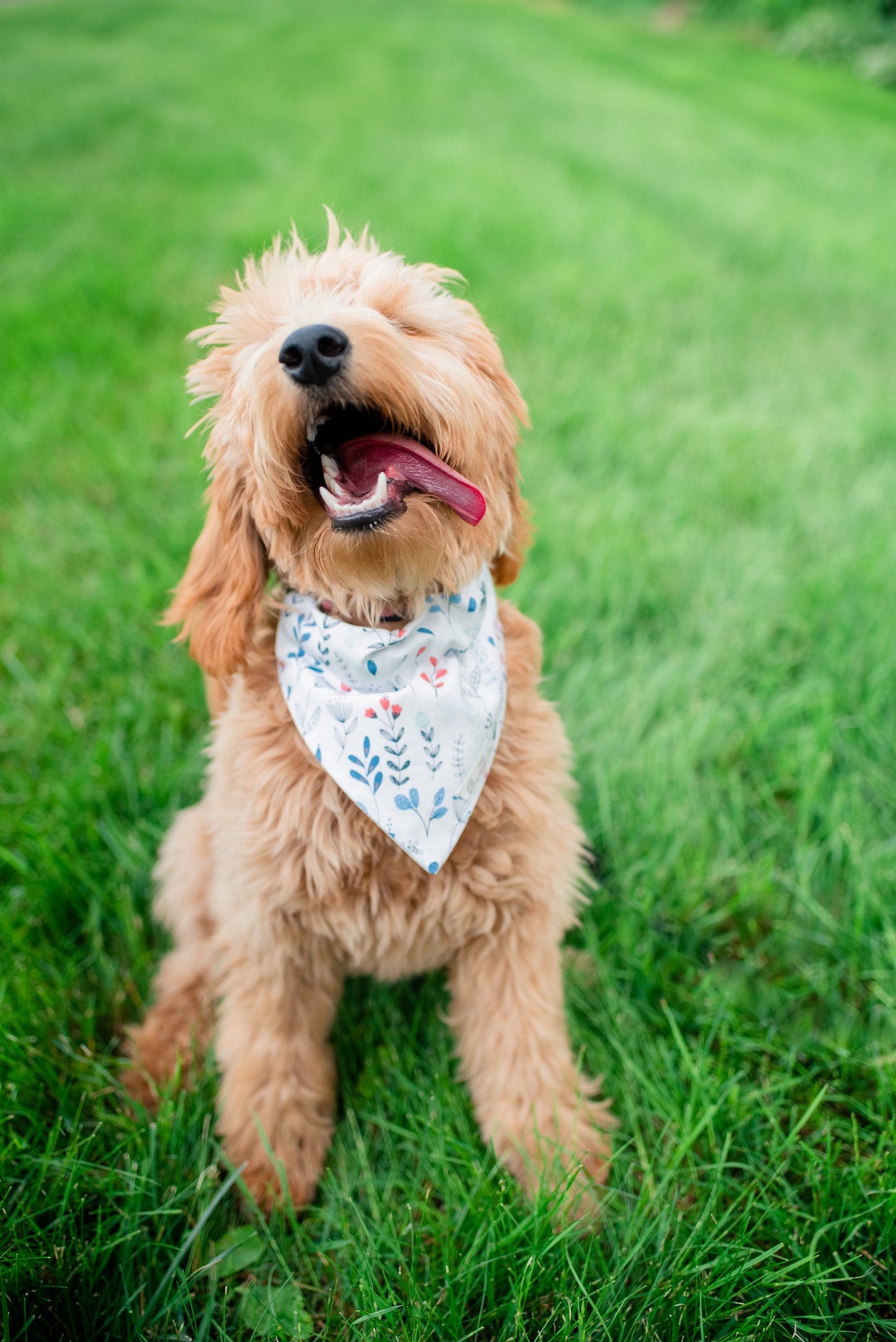 Bees & Flowers Dog Bandana