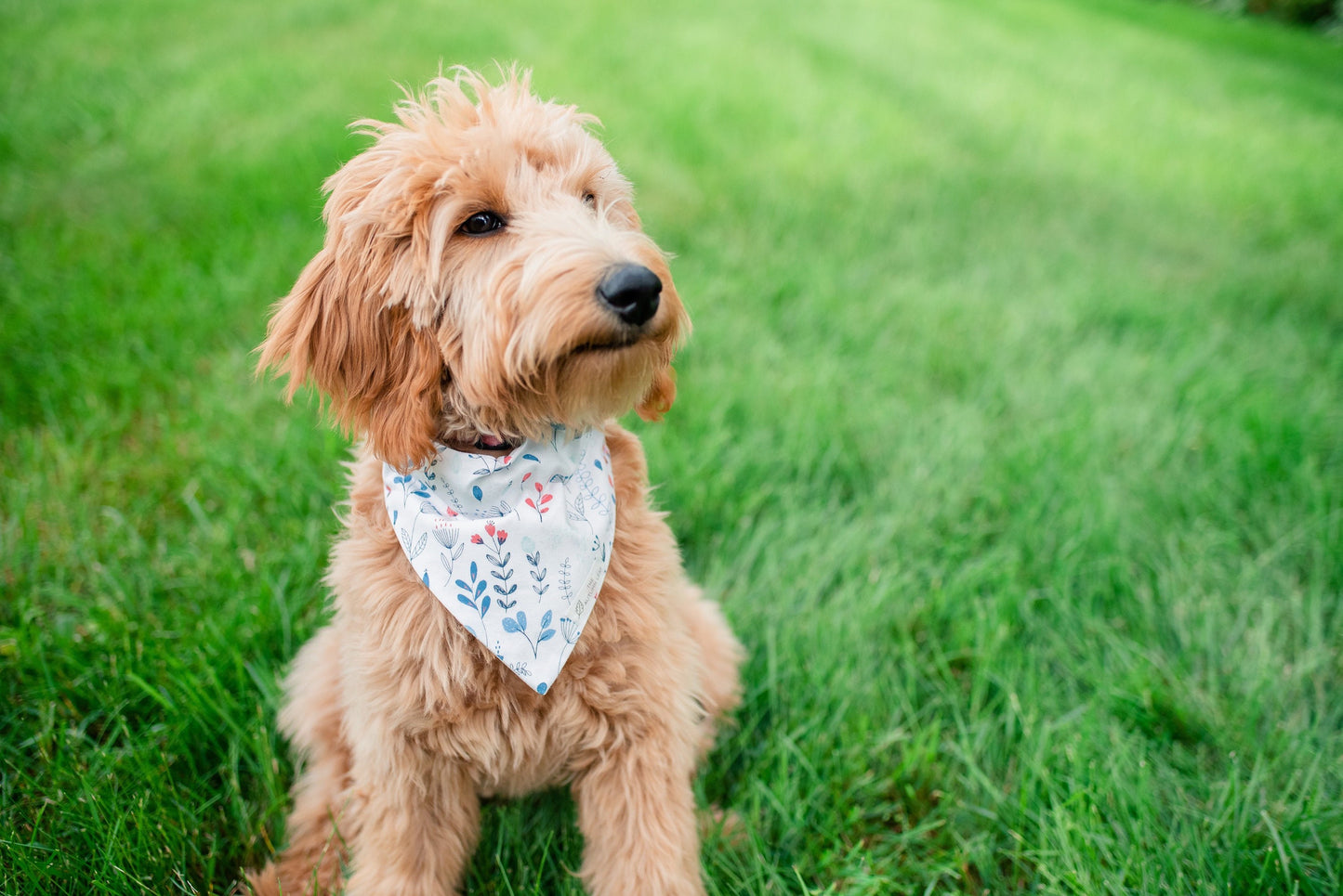 Bees & Flowers Dog Bandana
