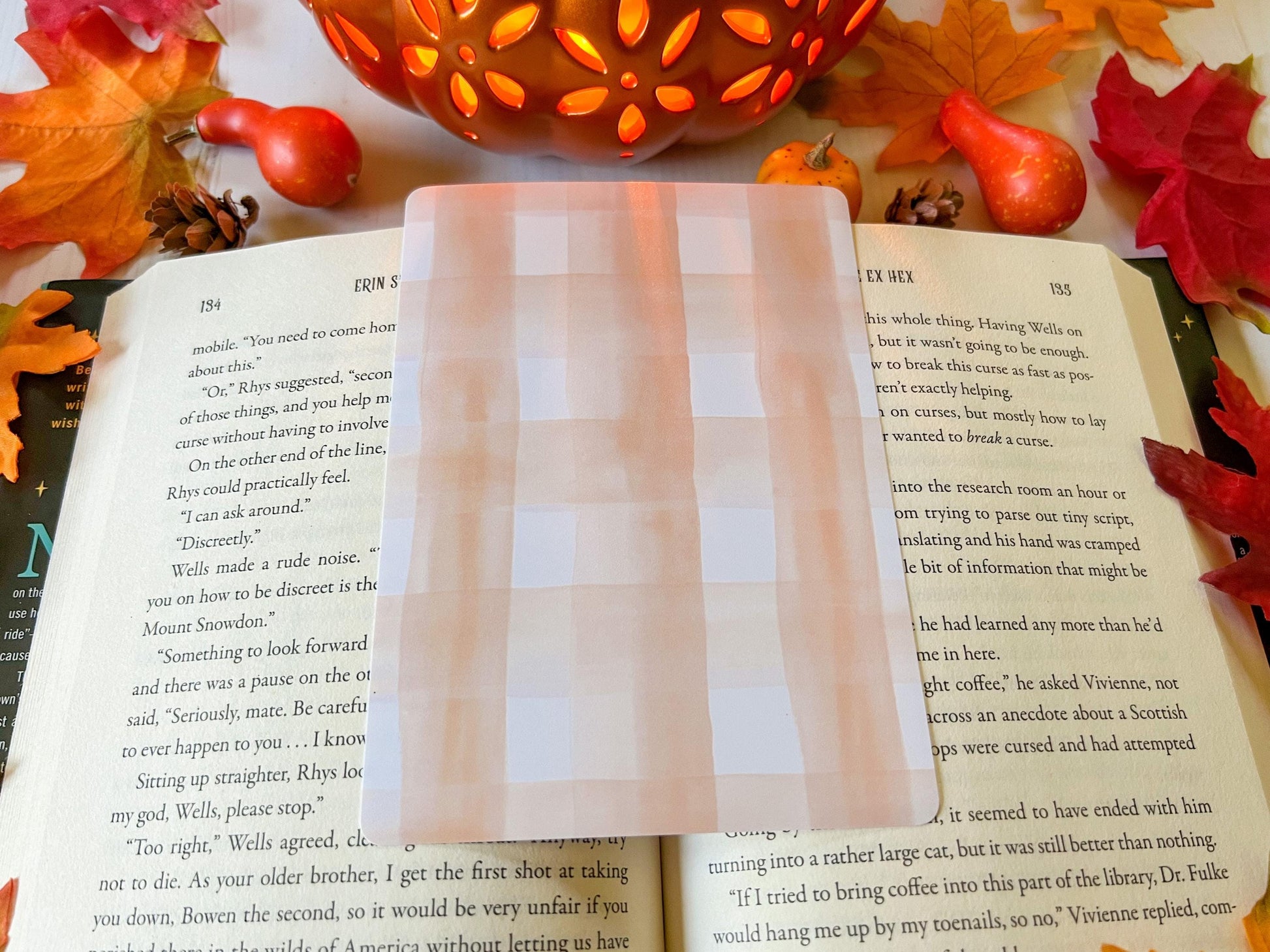 Fall Gingham Plaid E-Reader Case Insert