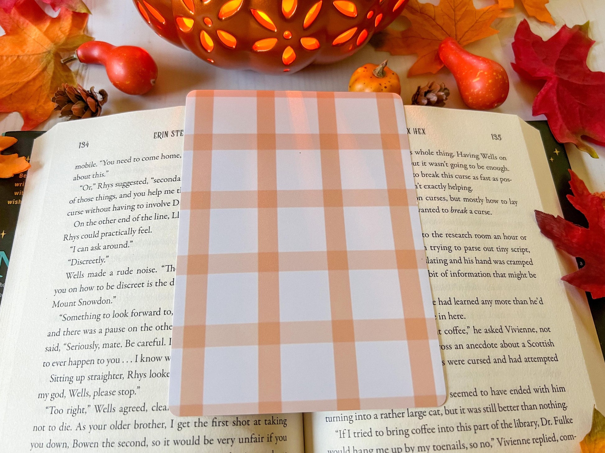 Fall Gingham Plaid E-Reader Case Insert