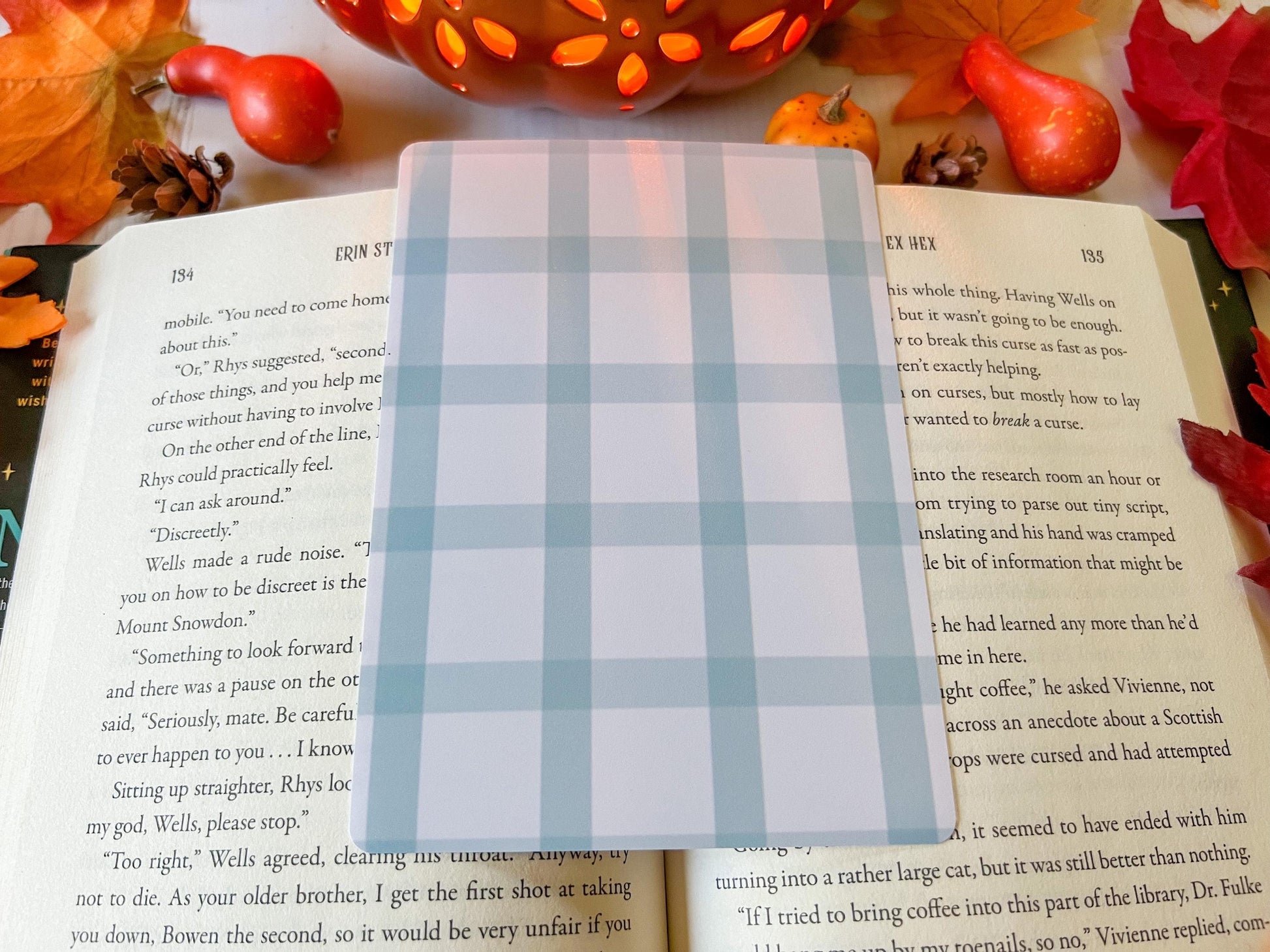 Fall Gingham Plaid E-Reader Case Insert