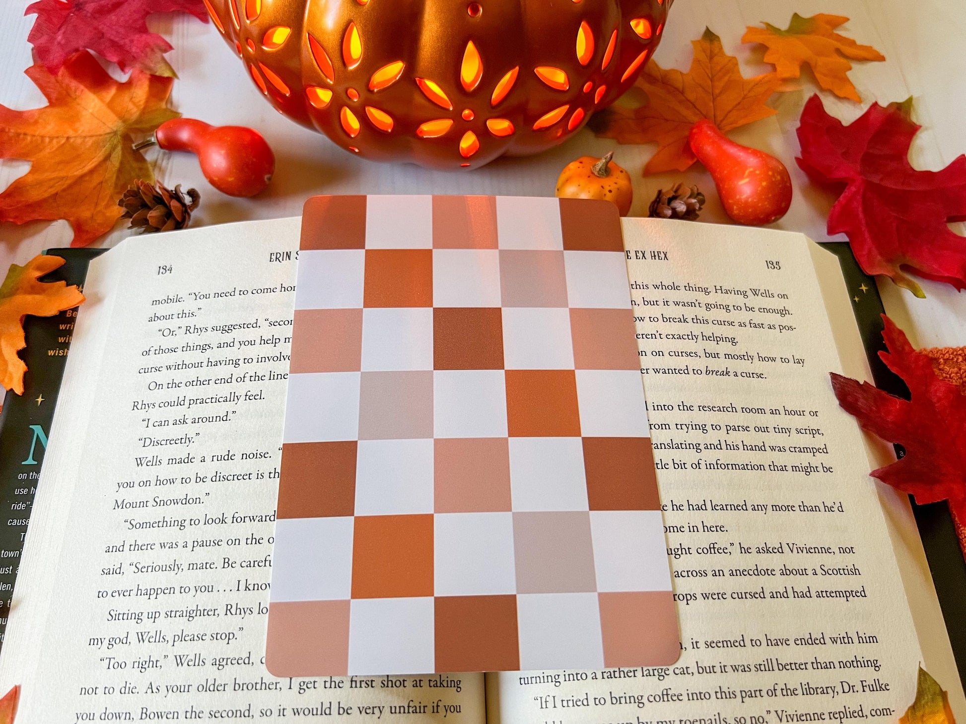 Fall Gingham Plaid E-Reader Case Insert