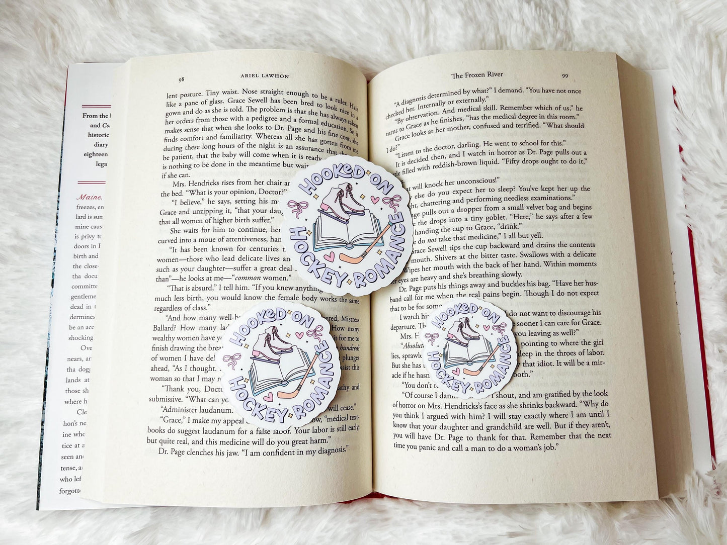 Hockey Romance Vinyl Bookish Sticker | Hockey Sticker | Winter Sticker | Vinyl Sticker | Bookish Sticker | Book Lover Gift | Bookish Merch
