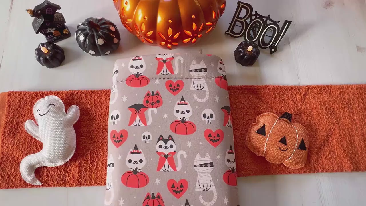 Spooky Cats with Pumpkins Halloween Book Cozy